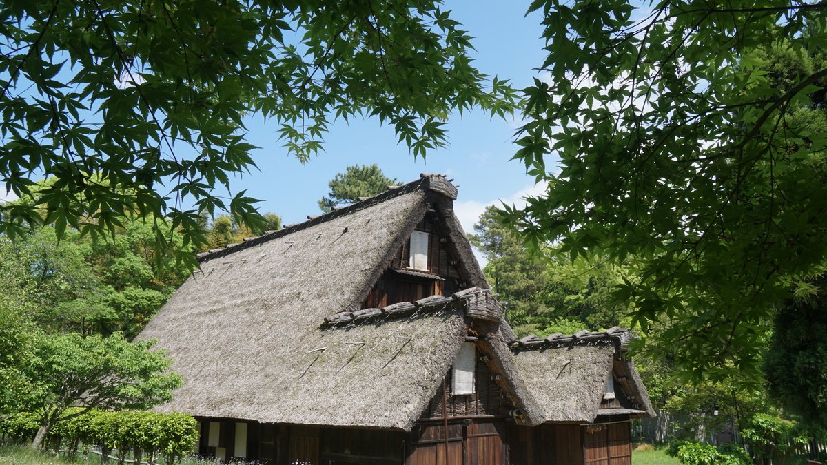 🌳 핫토리 녹지(핫토리 료쿠치 코엔)